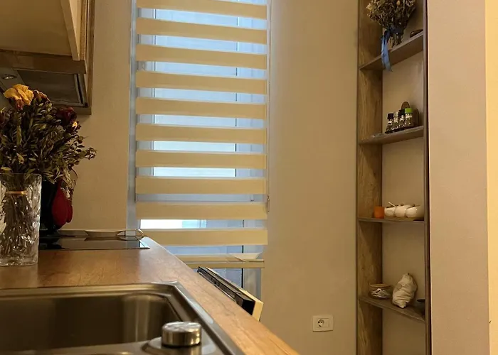 Fia 9 - Panoramic View * Tirana