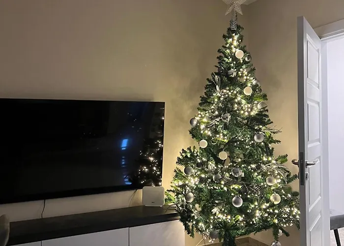 Fia 9 - Panoramic View Daire Tiran